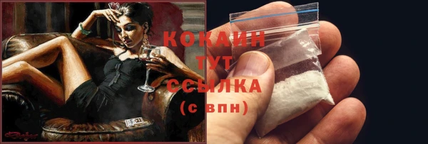 дмт Гусь-Хрустальный