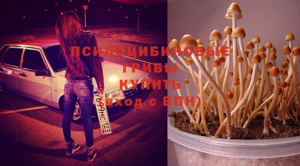 кокаин Гусев